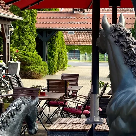 Zur Schmiede Hotell Göhren-Lebbin