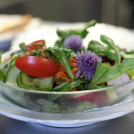 Hotel Zur Schmiede Göhren-Lebbin