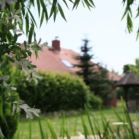 Hotel Zur Schmiede Goehren-Lebbin